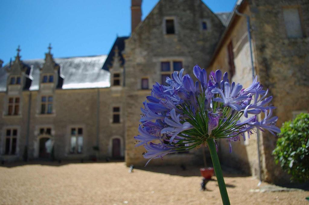 Château De Cheronne Bed & Breakfast Tuffe Ngoại thất bức ảnh
