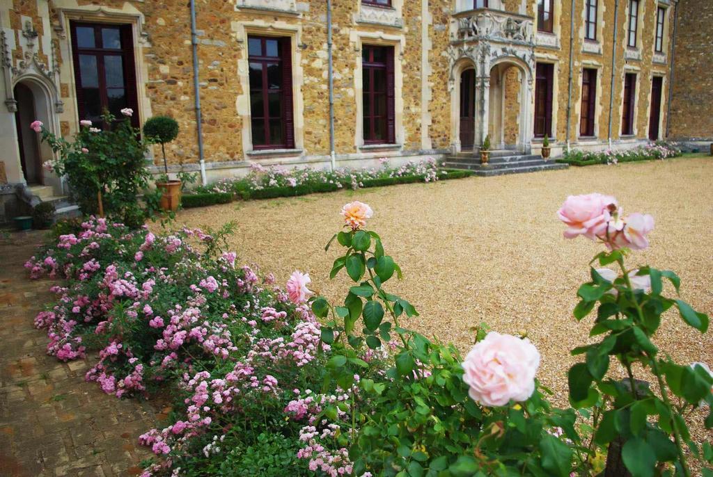 Château De Cheronne Bed & Breakfast Tuffe Ngoại thất bức ảnh